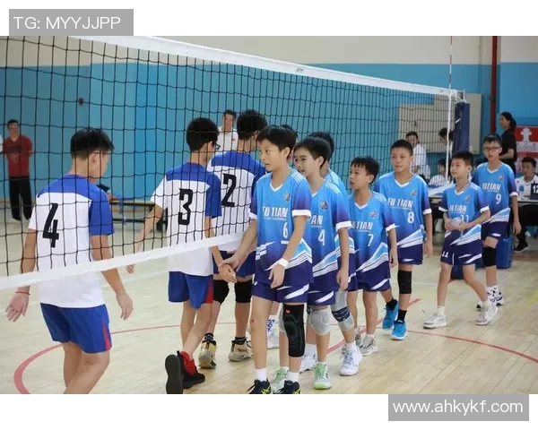 深圳排球队的力量揭秘：排球巨献背后的奋斗与荣耀