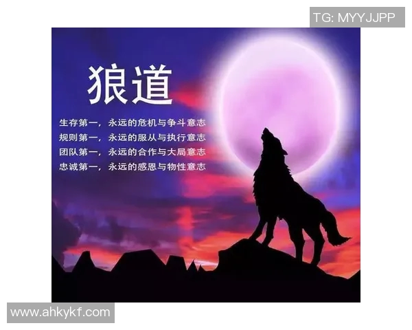 西安篮球队的崛起之路精英赛背后的奋斗与团结故事 西安篮球队的崛起之路精英赛背后的奋斗与团结故事