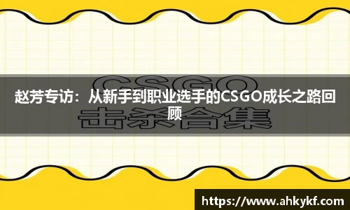 mk体育